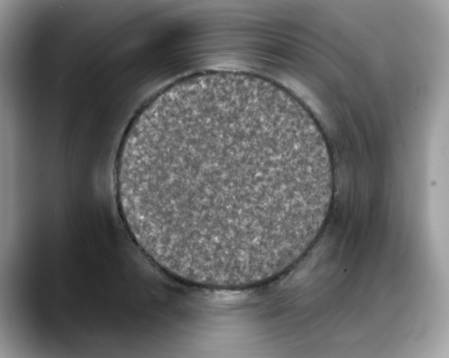 X0000088140848200706111424