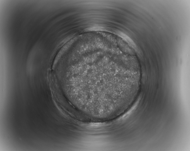 X0000088140849200706111424