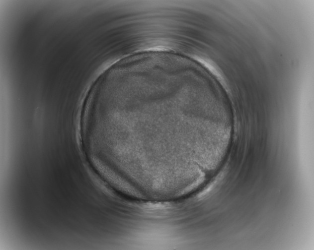 X0000088140850200706111424