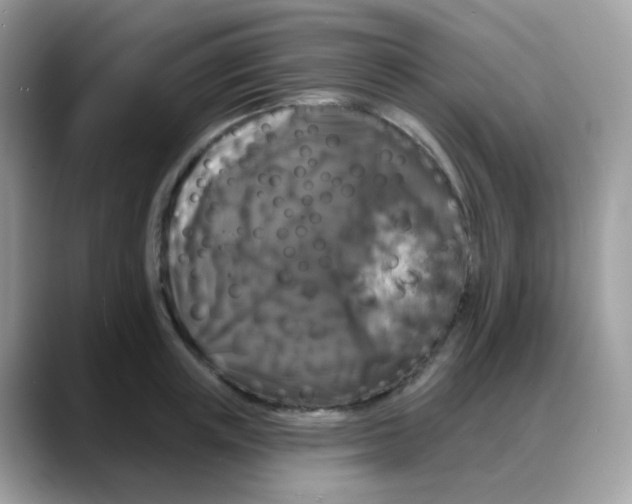 X0000088140851200706111424