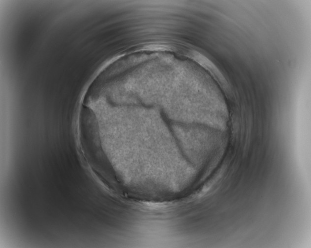 X0000088140852200706111424