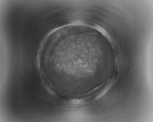 X0000088140854200706111424