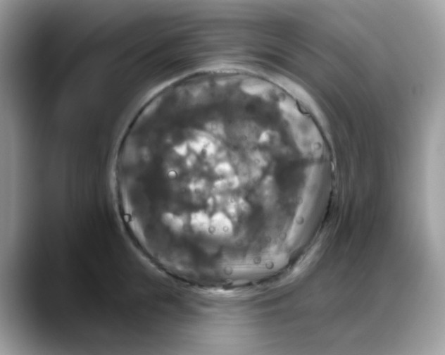 X0000088140855200706111424