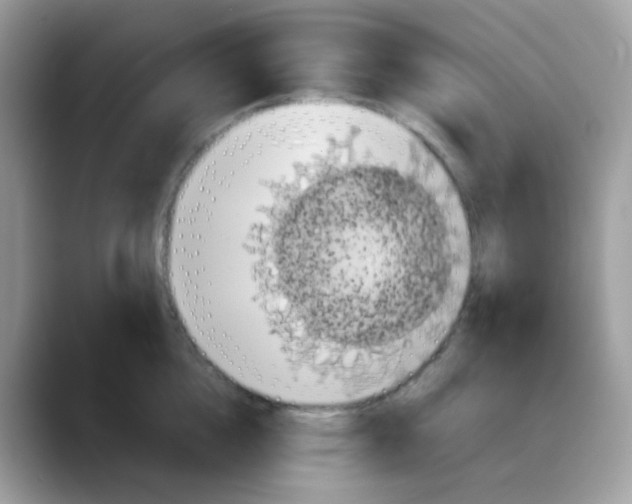 X0000088140856200706111424