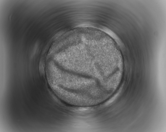 X0000088140857200706111424