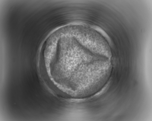 X0000088140860200706111424