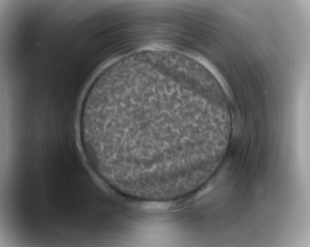 X0000088140861200706111424