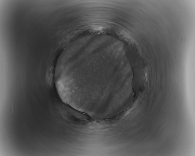 X0000088140868200706111423