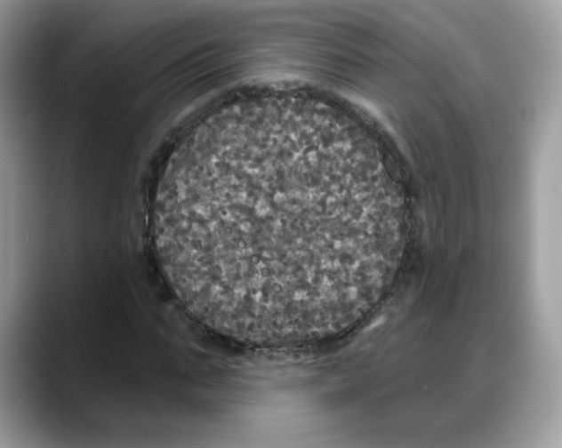 X0000088140871200706111423