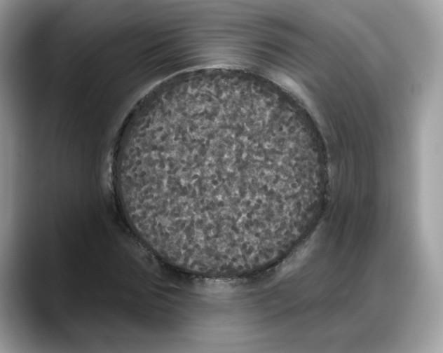 X0000088140875200706111423