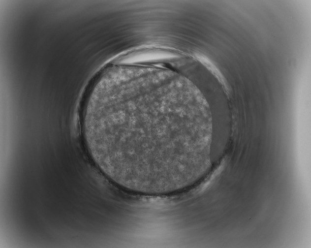 X0000088140876200706111423