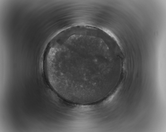 X0000088140877200706111423