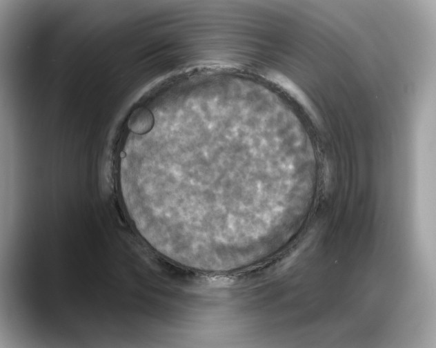 X0000088140878200706111423