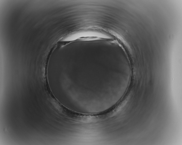 X0000088140881200706111423