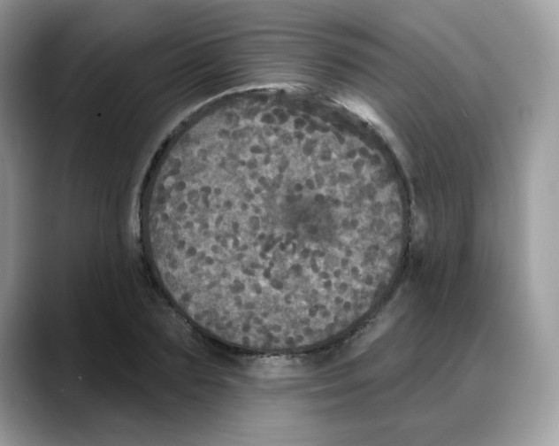 X0000088140883200706111423