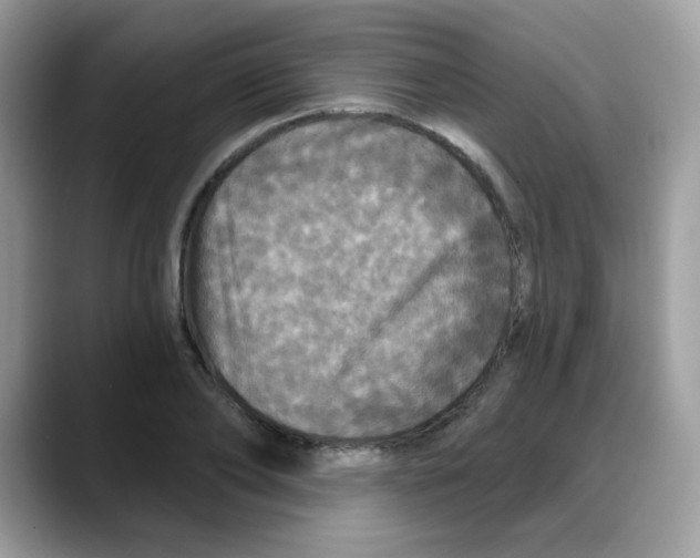 X0000088140886200706111423