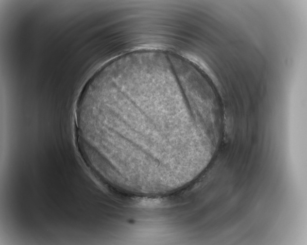 X0000088140890200706111423