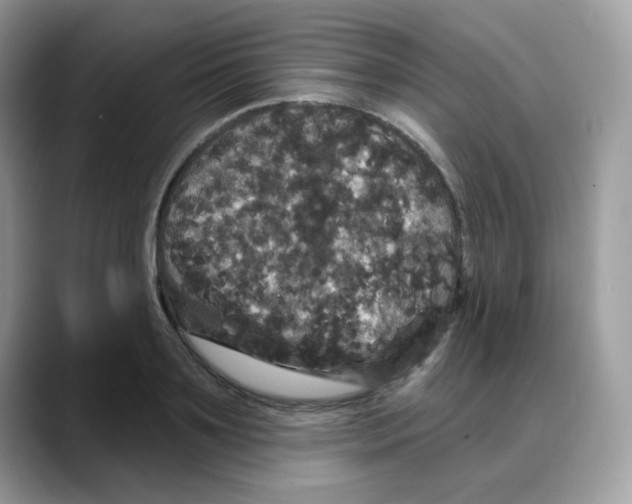 X0000088140891200706111423