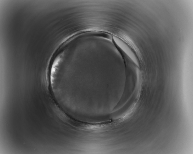 X0000088140892200706111423