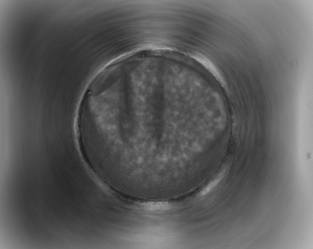 X0000088140893200706111423