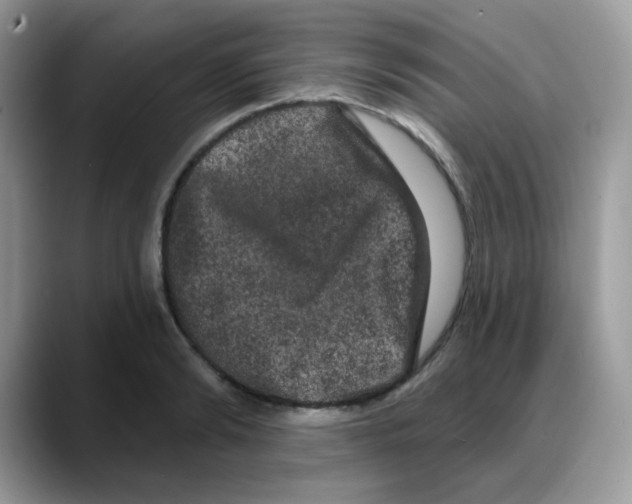 X0000088140894200706111423