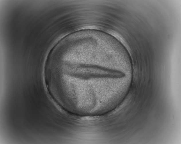 X0000088140898200706111423