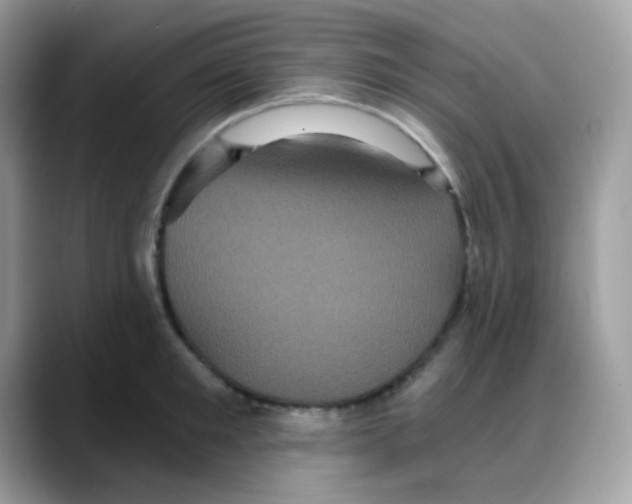 X0000088140901200706111423