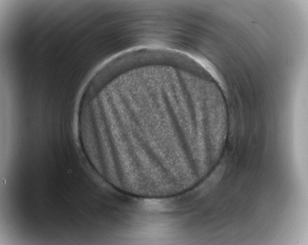 X0000088140904200706111423