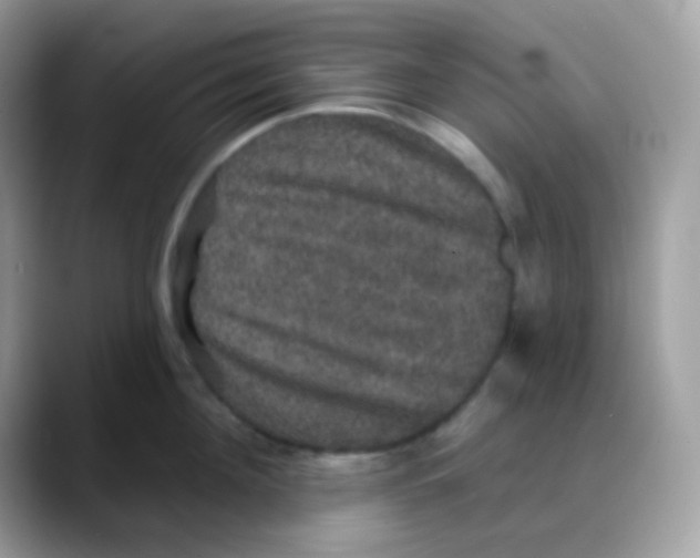 X0000088140908200706111423