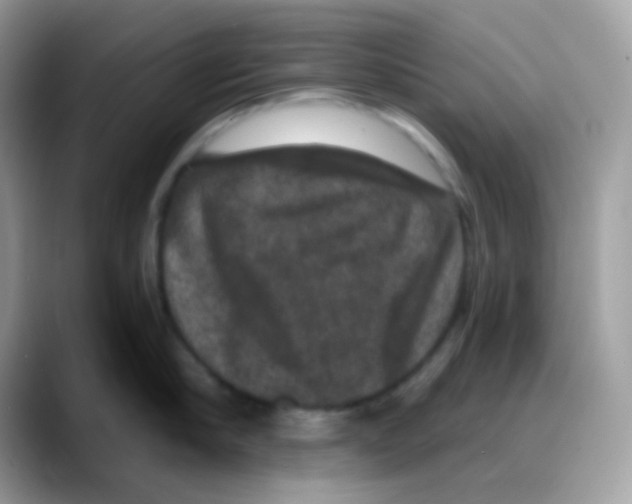 X0000088140910200706111423