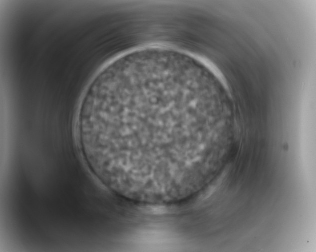 X0000088140911200706111423