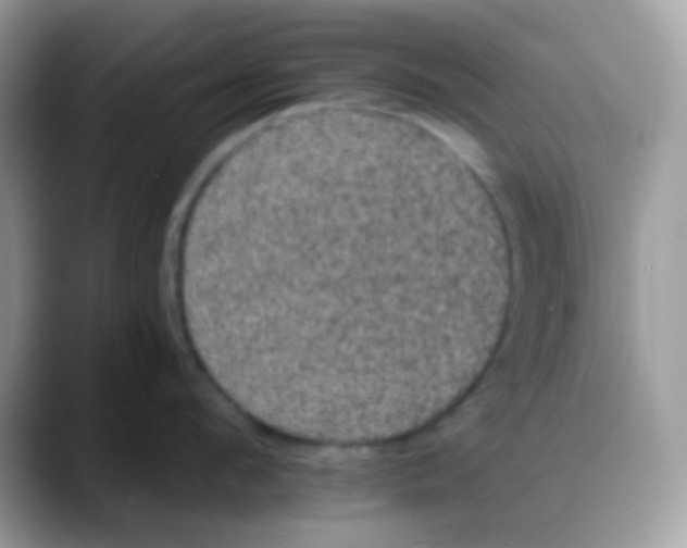 X0000088140912200706111423