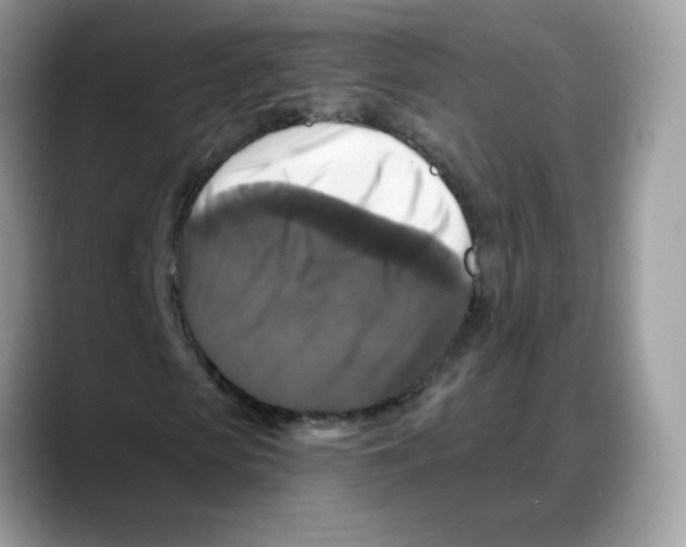 X0000088140913200706111422