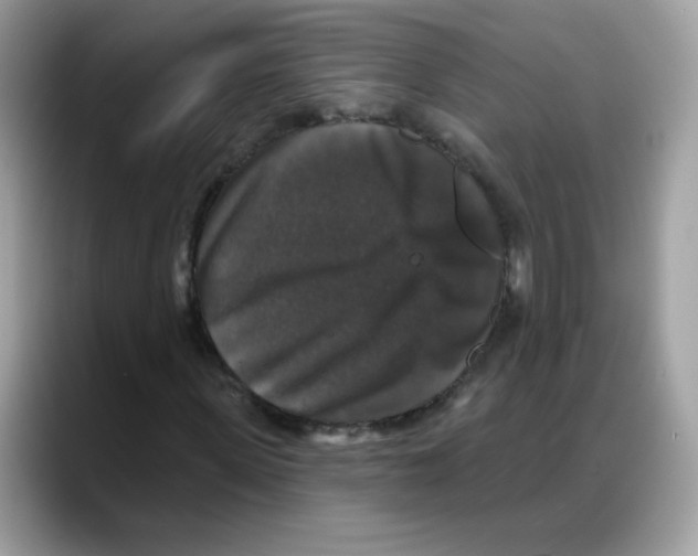 X0000088140915200706111422