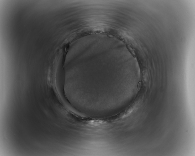 X0000088140916200706111422