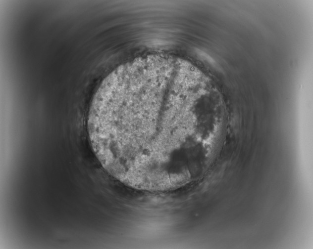 X0000088140917200706111422