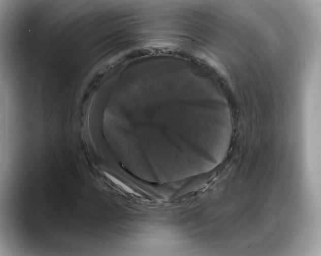 X0000088140920200706111422