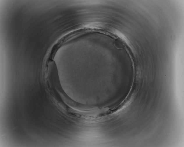 X0000088140923200706111423