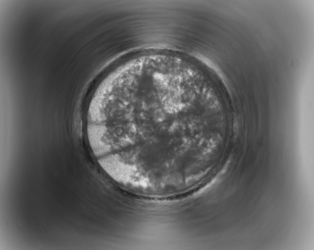 X0000088140925200706111423