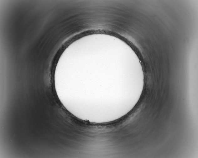 X0000088140927200706111423