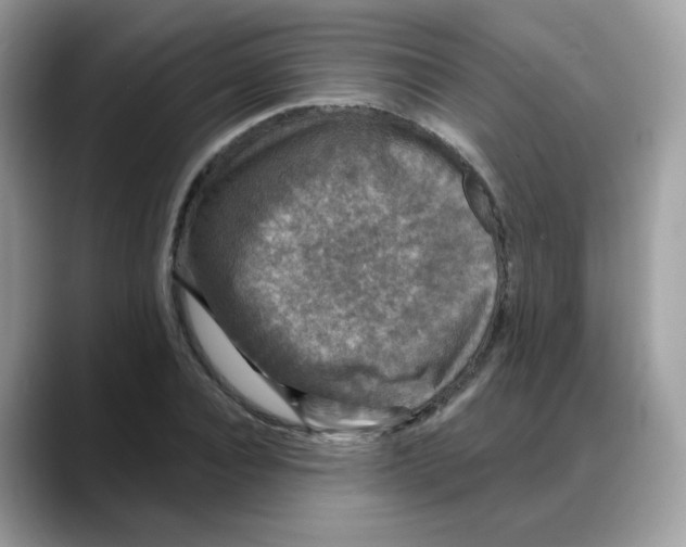 X0000088140928200706111423