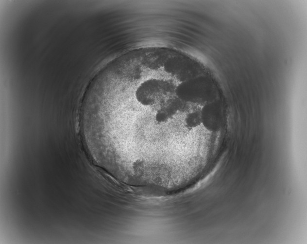 X0000088140929200706111423