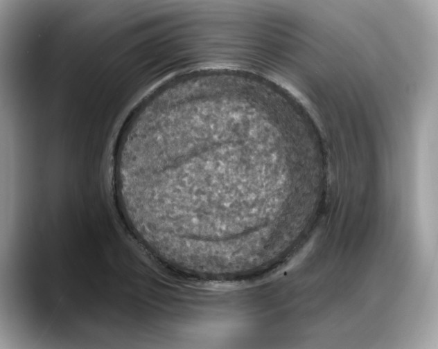 X0000088140933200706111423