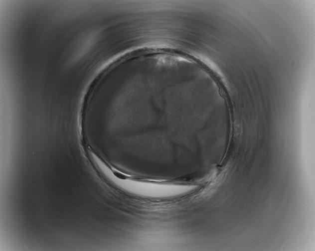 X0000088140935200706111423