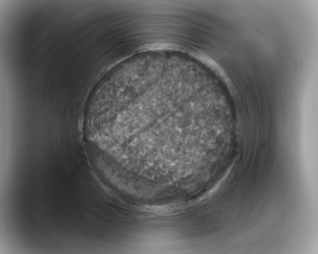 X0000088140937200706111423