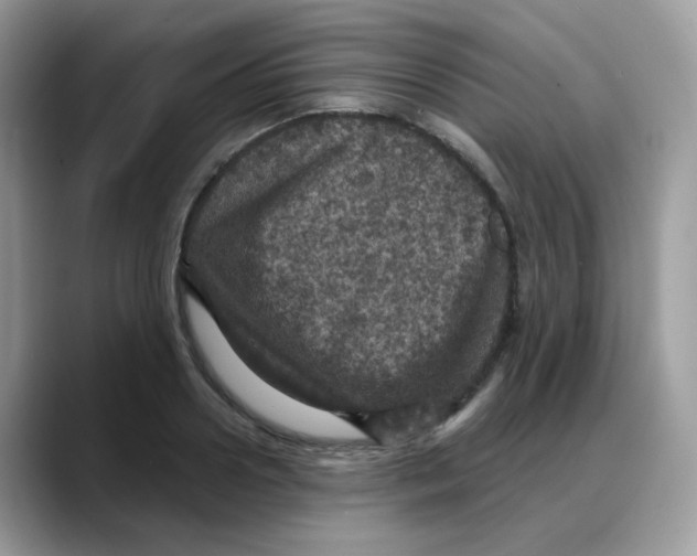 X0000088140938200706111423