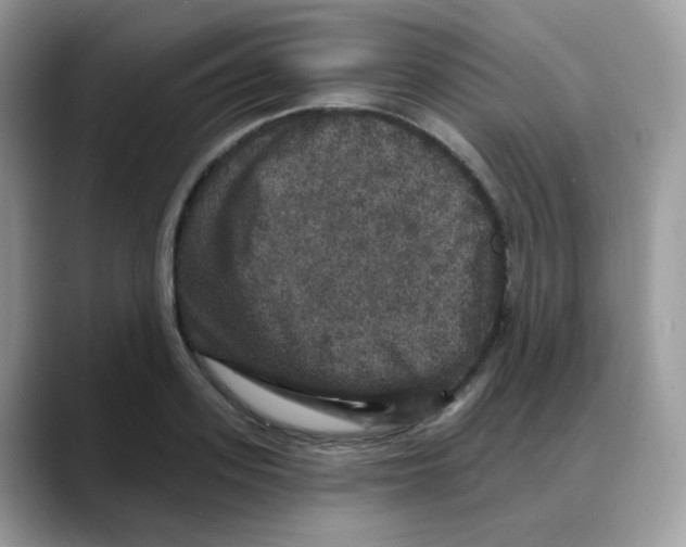 X0000088140939200706111423