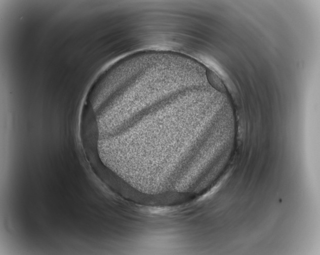 X0000088140940200706111423