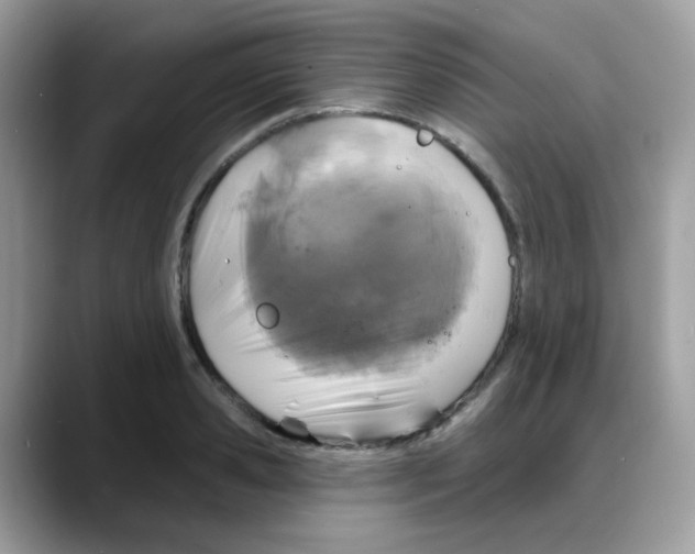 X0000088140941200706111423