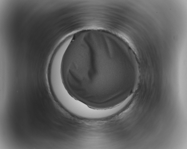 X0000088140942200706111423